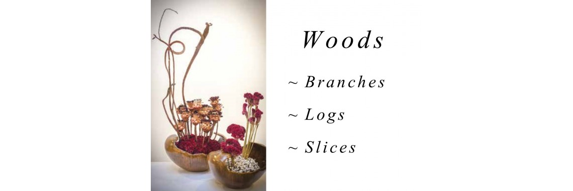 Branches